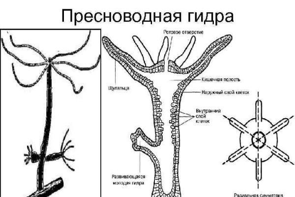 Omg omg tor ссылка